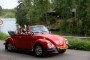 Thumbs/tn_Aircooled Bergharen 2016 057.jpg